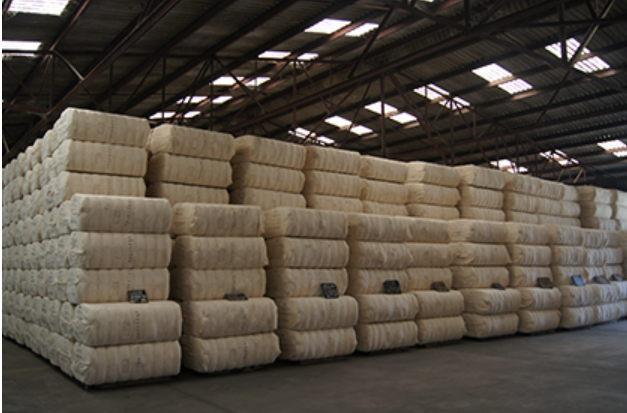 國家發展改革委、財政部聯合印發《中央儲備棉管理辦法》