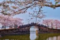 清明假期將至，“花”“茶”“食”唱響文旅消費前奏