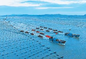 海洋經濟復蘇強勁 去年海洋生產總值較上年增6%