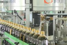 廣東各縣因地制宜探索具有區域特色的發展路徑