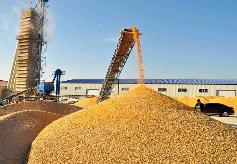 河南省加快提升應急救災和糧食烘干能力  為農業強省建設提供支撐