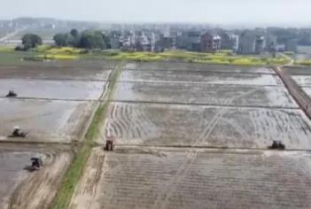 全國春耕備耕有序展開 各地綜合施策夯實全年糧食豐收基礎