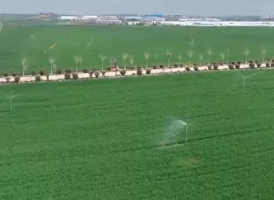 讓農田“喝飽水”！各地全力保障春耕灌溉 夏糧豐收基礎牢