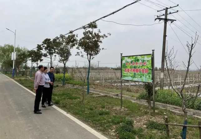 安徽合肥加強人才振興賦能鄉村振興