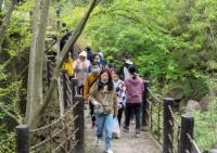 文化和旅游部發布清明假期出游提示：做好出行規劃 文明綠色出行