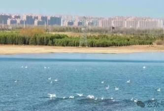 景區免門票、研學游火爆、旅游列開通……內蒙古文旅再加猛料催熱“春日經濟”