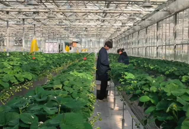 北京市啟動第一批“數字京村”建設工作