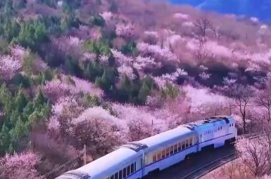交通文旅融合打造現代服務新業態 激發內需繁榮消費