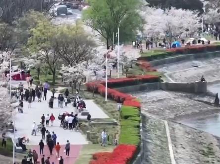 文化+賦能 激發旅游消費新活力
