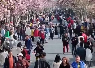 “吃喝玩樂”等生活服務業消費“火熱” 中國經濟內需潛力“熱力”釋放