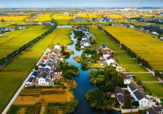 江蘇蘇州：“智造之城”與“魚米之鄉”相得益彰