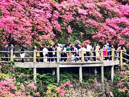 春季文旅全面開“花”！消費市場釋放蓬勃活力
