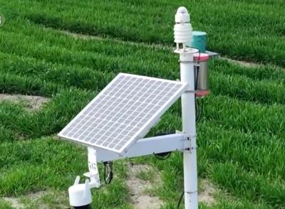 “種地種出成就感”！衛星巡田、遠程田管，農業生產煥發新活力