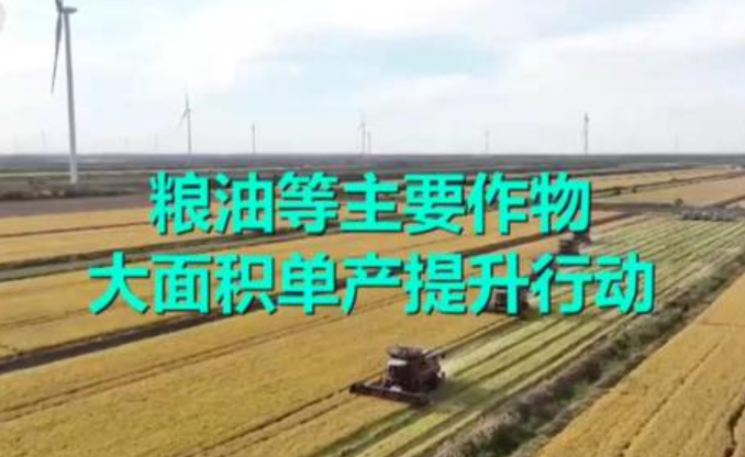 農業農村部制定發布單產提升“一圖一冊一視頻”