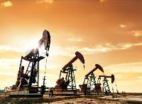 油氣產業及低碳經濟藍皮書發布