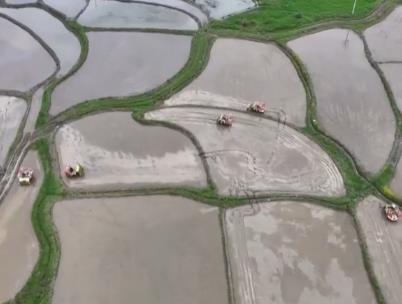 農業農村部確定大面積提單產路線圖，端牢“中國飯碗”