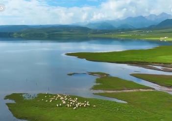 我國生態保護修復取得明顯成效