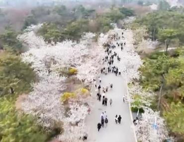 體旅融合新升級、徒步游升溫、觀影活動多 這個“五一”假期火熱來襲