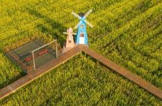 營業收入達471億元 浙江休閑農業去年接待3.6億人次