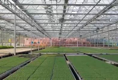 數字技術成為農業現代化新機遇 科技賦能助力實現好“豐”景