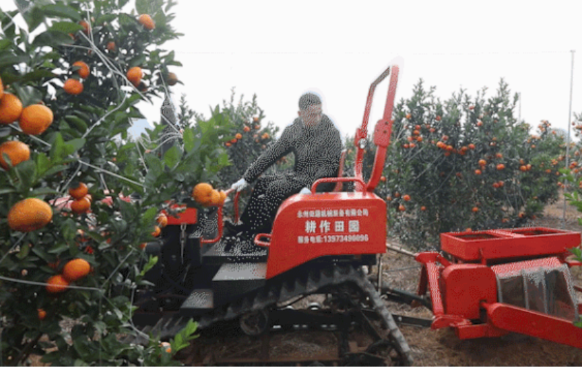 果園里的新變化——從機械化發展看果業提質增效