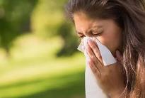春夏之交易發過敏性鼻炎 中醫治療有助緩解癥狀