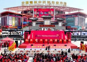 打造“世界中醫藥之都”，為什么是亳州？