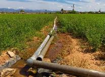 水利部：加快推進農村供水高質量發展 讓城鄉共飲“放心水”