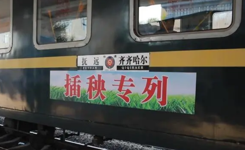 連續25年，“插秧專列”開進三江平原