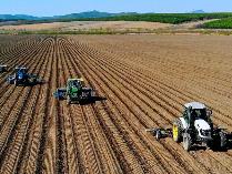 黑龍江今年春耕進度快于往年 旱田已播11105.5萬畝