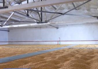 全國綠色儲糧倉容超兩億噸 夯實糧食倉儲能力、筑牢糧食安全防線