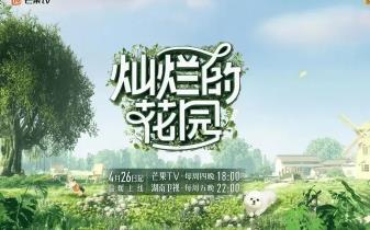 熟人局+無劇本，慢綜藝何以動人