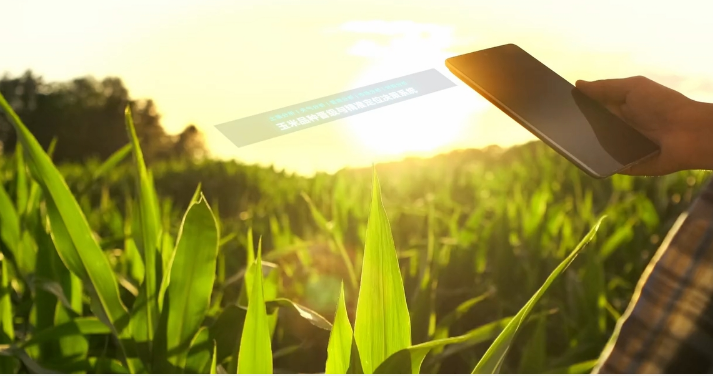 中國中化發布國內首個“玉米品種晉級與精準定位決策系統”