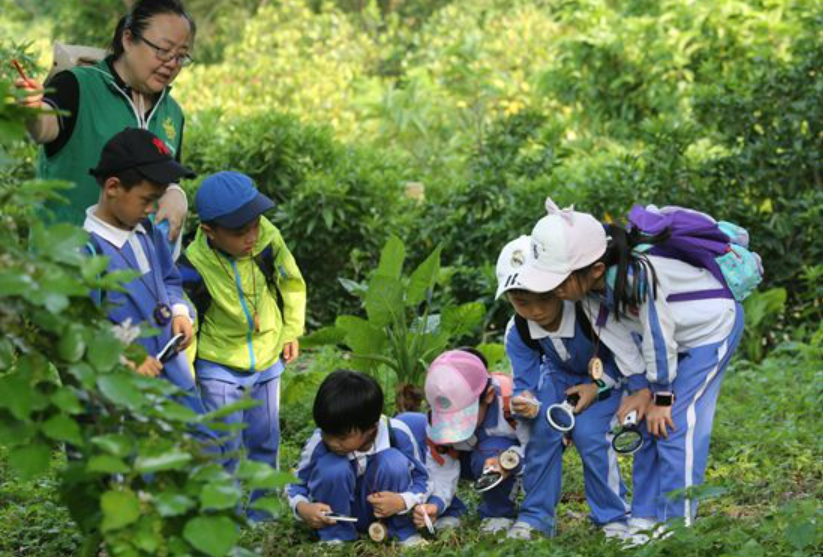 廣東著力推動自然教育高質量發展