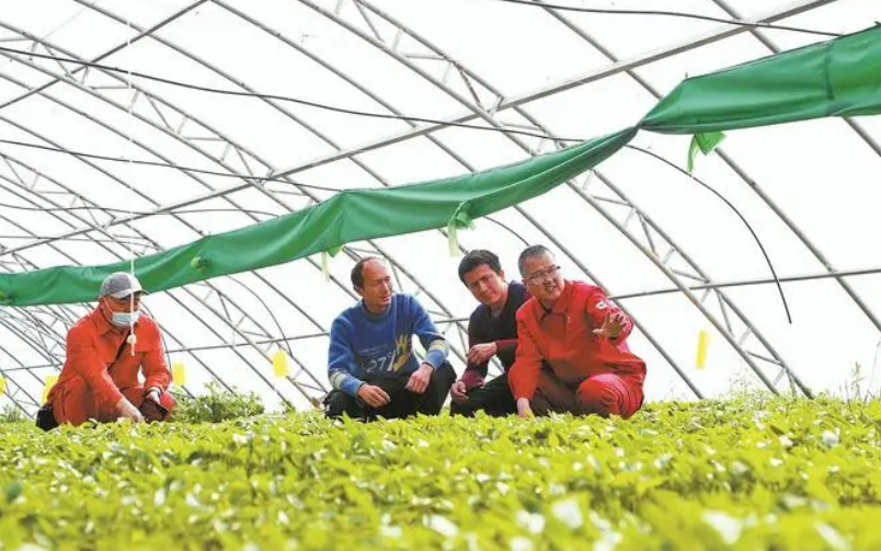 中國石油助力新疆繪就宜居宜業和美鄉村新畫卷