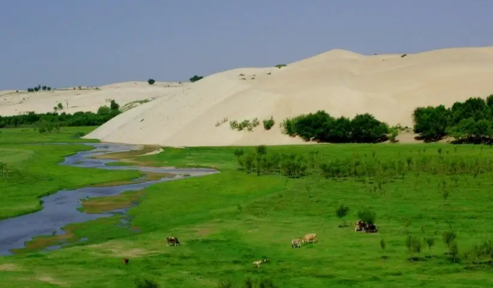 塔克拉瑪干沙漠生態屏障逐漸補齊最后“缺口”