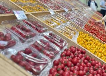 在山東濰坊壽光，看“中國蔬菜之鄉”的新時代發展圖景