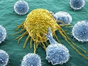 巨噬細胞：對抗實體腫瘤的“希望之星”？