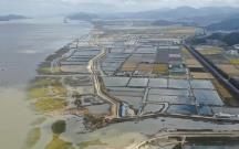 福建省啟動生態恢復岸線認定工作