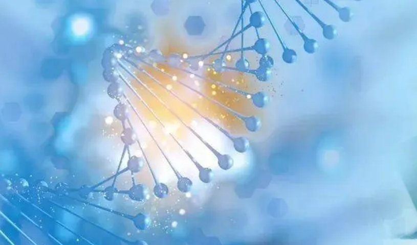 多部門發布《全國疾病預防控制行動方案（2024—2025年）》