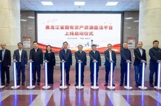 黑龍江省國有資產資源盤活平臺正式上線運行