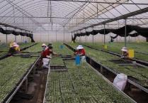 樹立大農業觀、大食物觀 云南加快建設特色農業強省