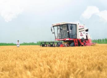 724.55公斤！河北中低產田小麥畝產上新臺階