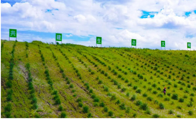 今年中央預算已安排120億元——財政支持筑牢“三北”生態屏障