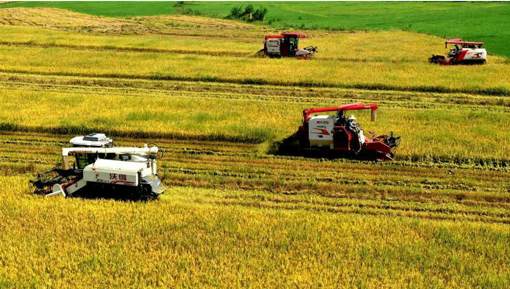 端牢“中國飯碗” 激發振興活力——中部地區推進農業農村改革發展