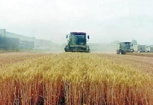 麥收近八成 新技術助力三夏生產