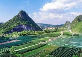 廣西出臺國土空間生態修復項目管理辦法