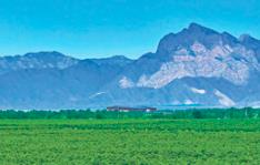 寧夏推進“一河三山”生態保護修復：黃河清 賀蘭美 六盤綠 羅山翠