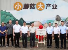 福建省首個國家農業微生物種質資源庫揭牌