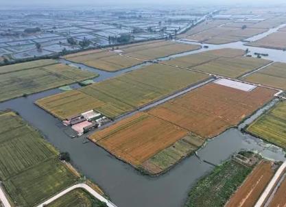 “第六產”塑造出的新時代“魚米之鄉”